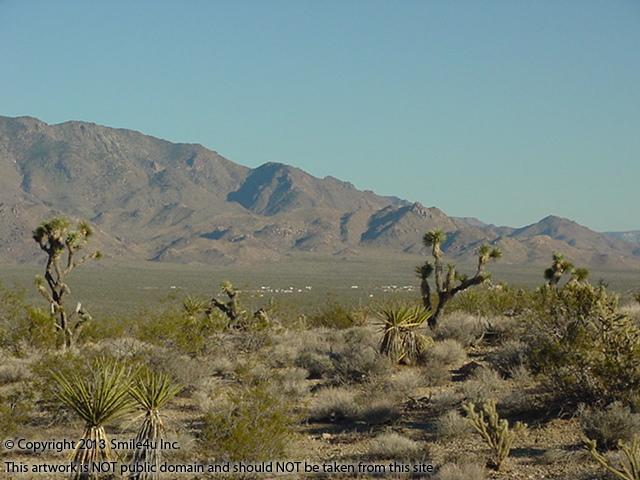 Beautiful mountain views overlooking Joshua Trees in Mohave County Arizona from this beautiful land for sale by Smile4u in the Lake Mead Ranchos!